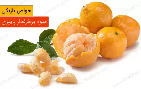 قدرت نارنگی  میوه‌ پرطرفدار