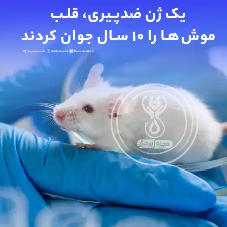 پژوهشگران با کشف یک ژن