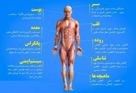 استرس اینگونه بدن را نابود 