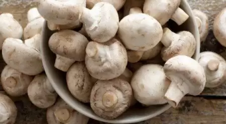 کسانی که کم‌خونی دارند قارچ 