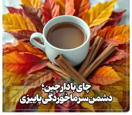 چای با دارچین دشمن سرماخوردگی 