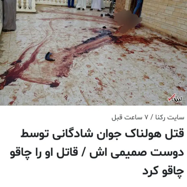عجیب اما واقعی و خایه 