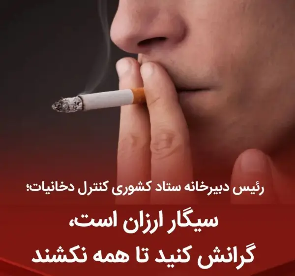 ولی‌زاده‌ رئیس دبیرخونه کنترل دخانیات 