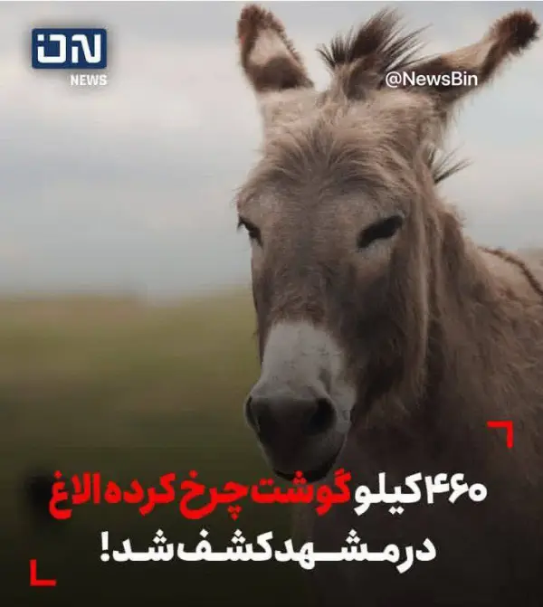 تو یه رستوران در مشهد 