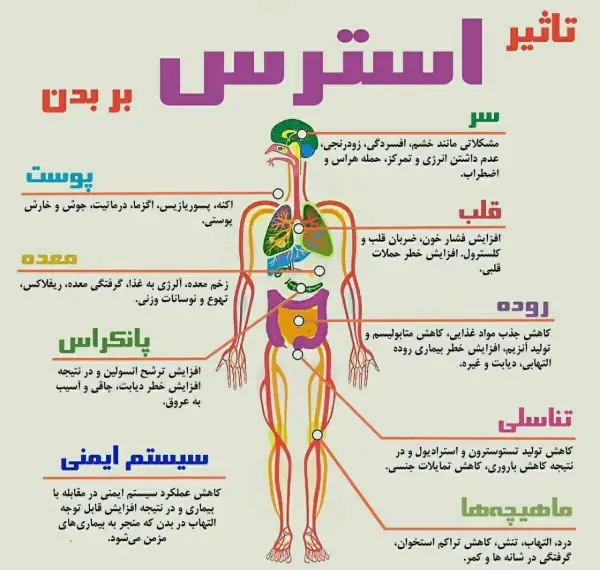 آثار بسیار زیانبار استرس  