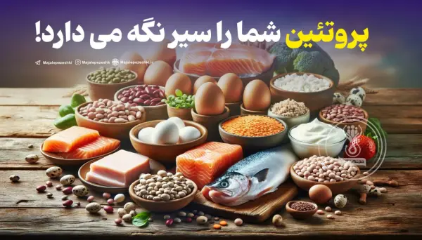 پروتئین شما را سیر نگه 