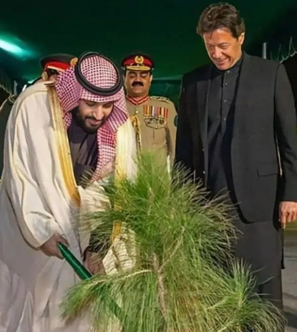 بن سلمان: از این به 