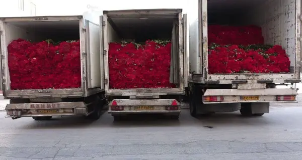 خانم و آقا برای طلاق 