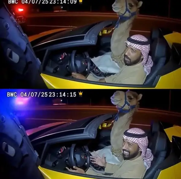 پلیس دبی چندوقت پیش یه 
