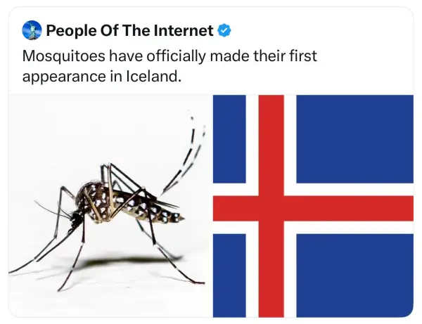 برای اولین بار توی ایسلند 