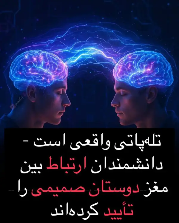 دانشمندان اعلام کردن مغز دوستای 