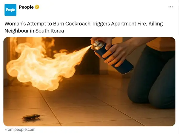 یه زن کره‌ای که می‌خواست 