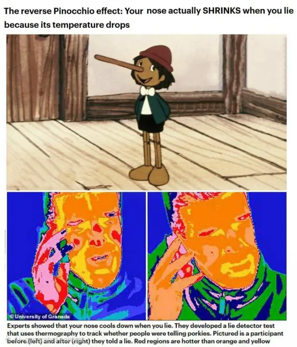 دیلی میل: برخلاف داستان پینوکیو 