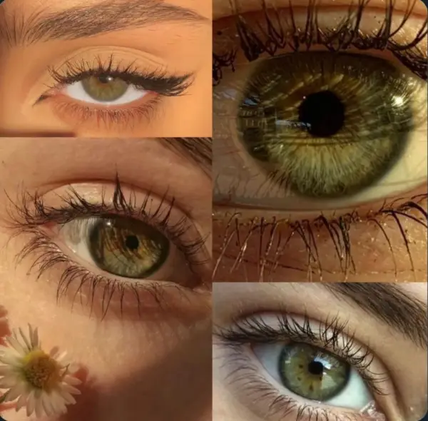 طبق آخرین آمار سبز به 