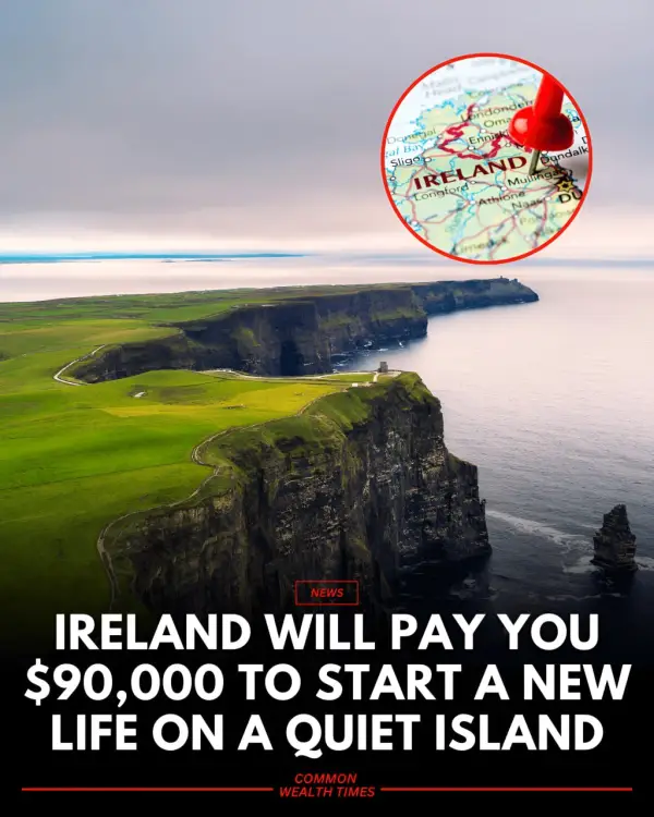 ایرلند ۹۰ هزار دلار تقریبا 