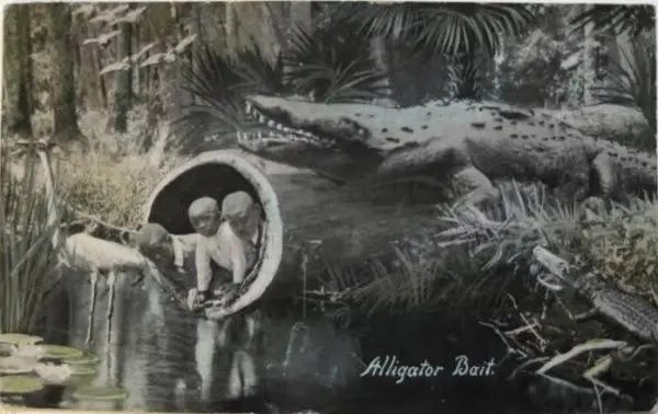 در فلوریدا تا سال 1919 