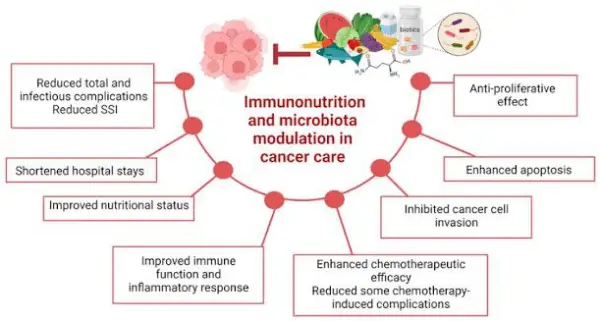تغذیه و سیستم ایمنی